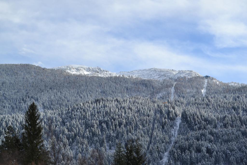 Appartamenti La Val Andalo Exterior photo